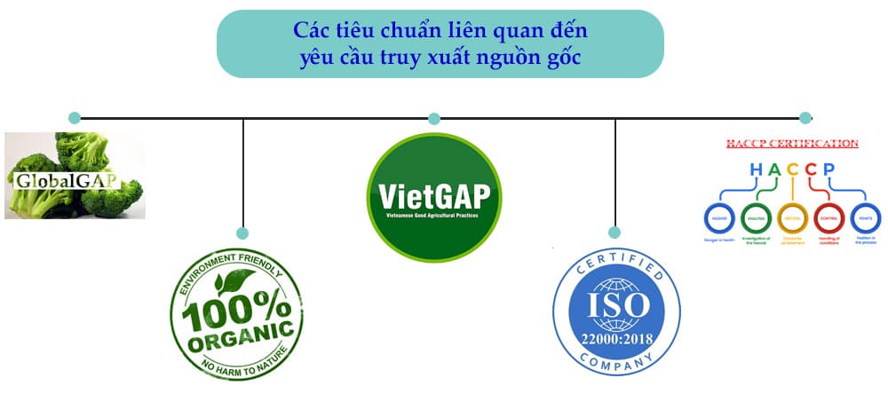 hascitek.vn iso 22000