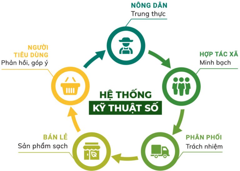 truy xuất nguồn gốc hascitek.vn